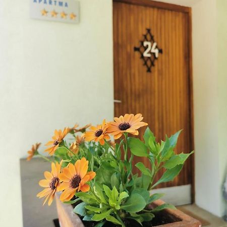 Apartma Rekar - A House, Where You Can Relax In The Embrace Of Nature Jesenice Eksteriør billede