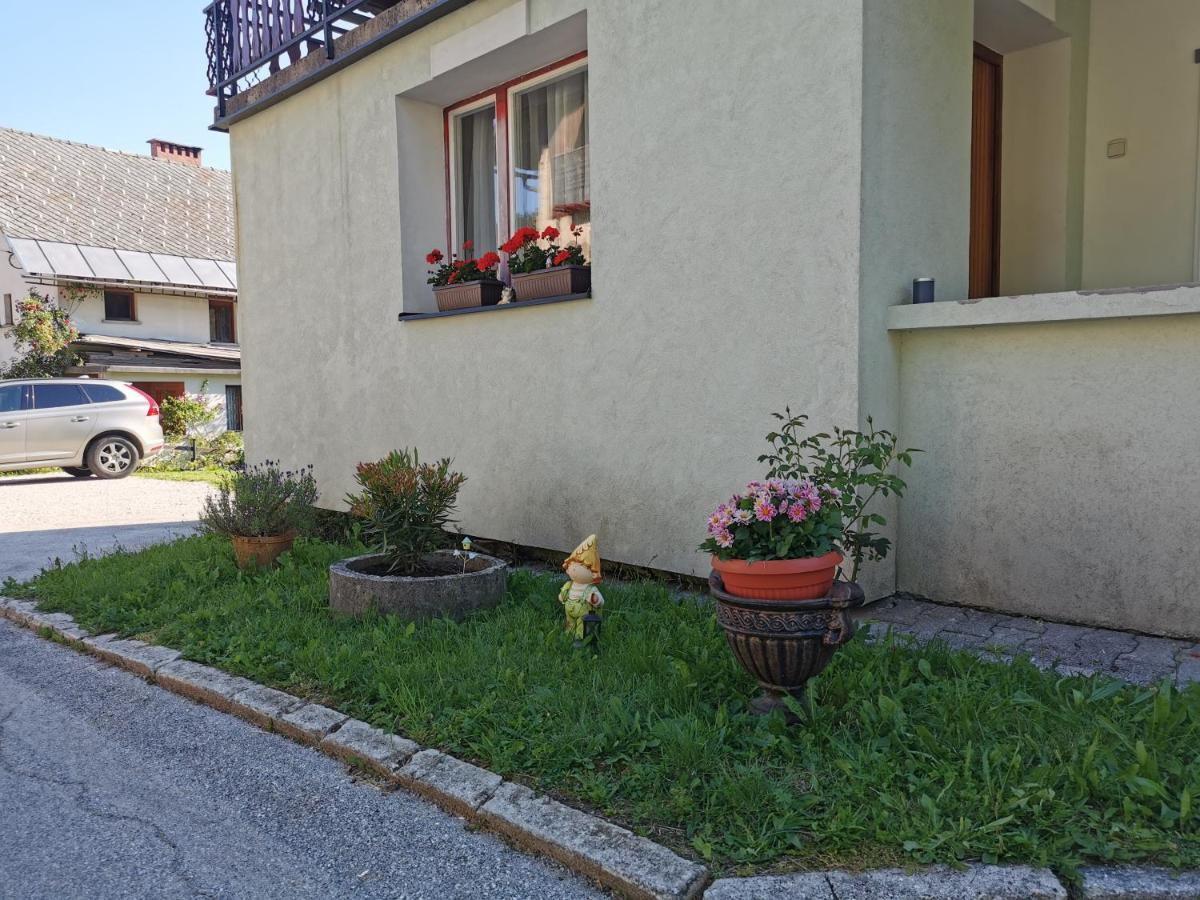 Apartma Rekar - A House, Where You Can Relax In The Embrace Of Nature Jesenice Eksteriør billede