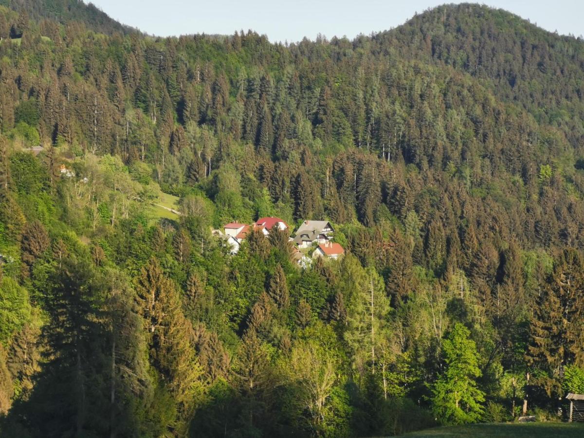 Apartma Rekar - A House, Where You Can Relax In The Embrace Of Nature Jesenice Eksteriør billede