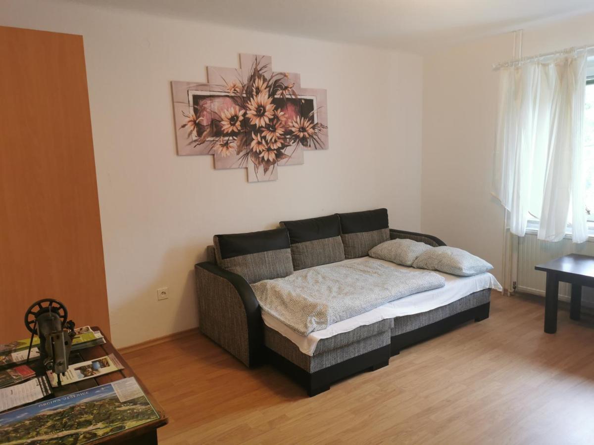 Apartma Rekar - A House, Where You Can Relax In The Embrace Of Nature Jesenice Eksteriør billede